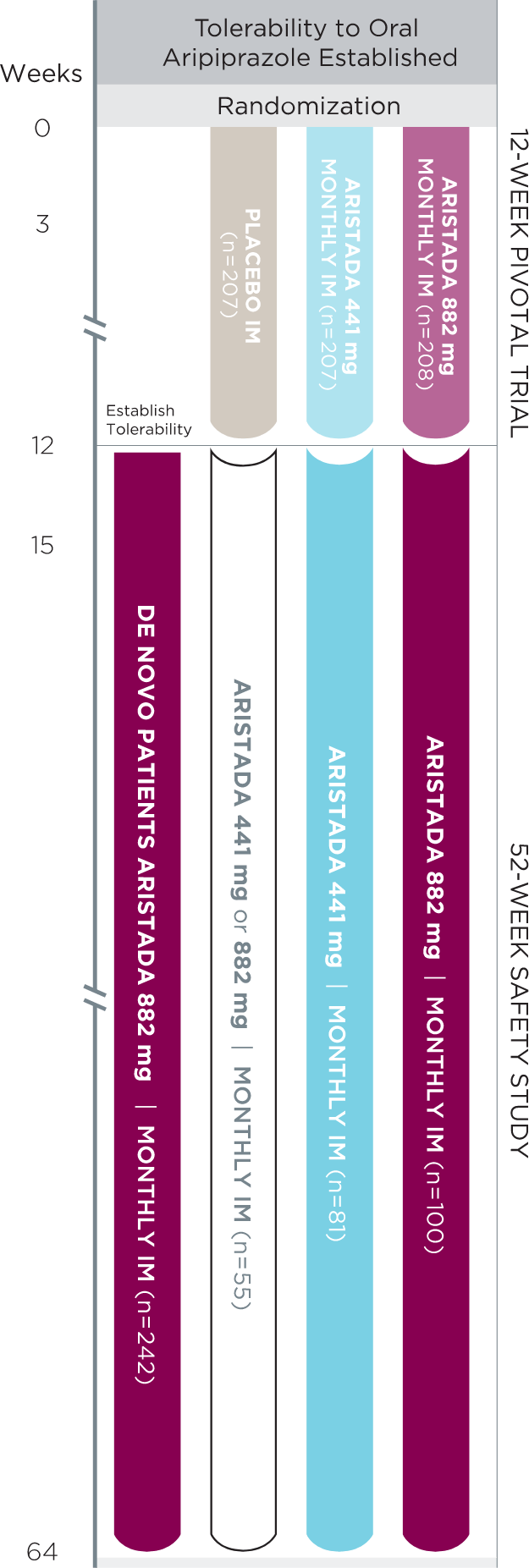 52-week open-label study design, which includes a 52-week safety study following a 12-week pivotal trial